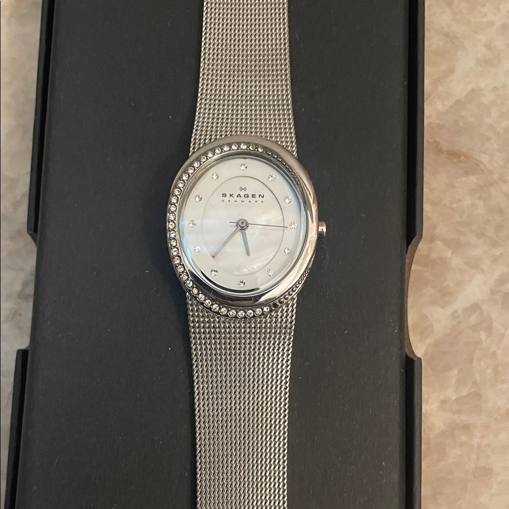 Skagen Silver Mesh Watch with Crystal Detailing